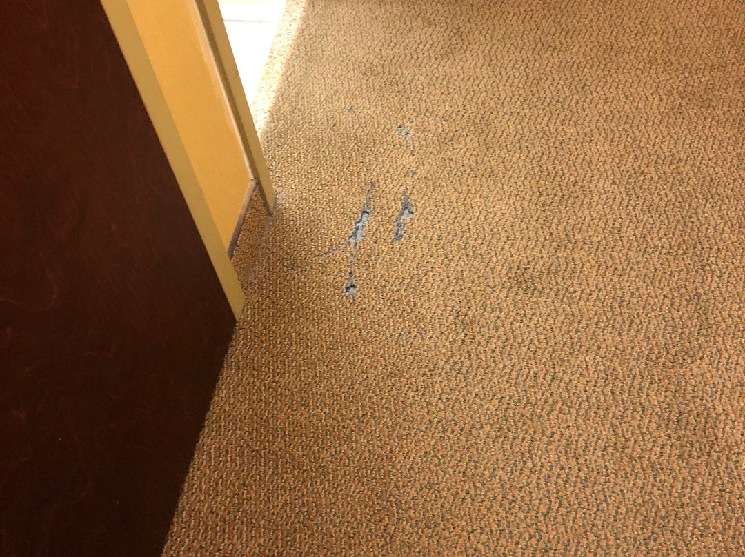 Red Roof Inn & Suites Bloomsburg - Mifflinville主图
