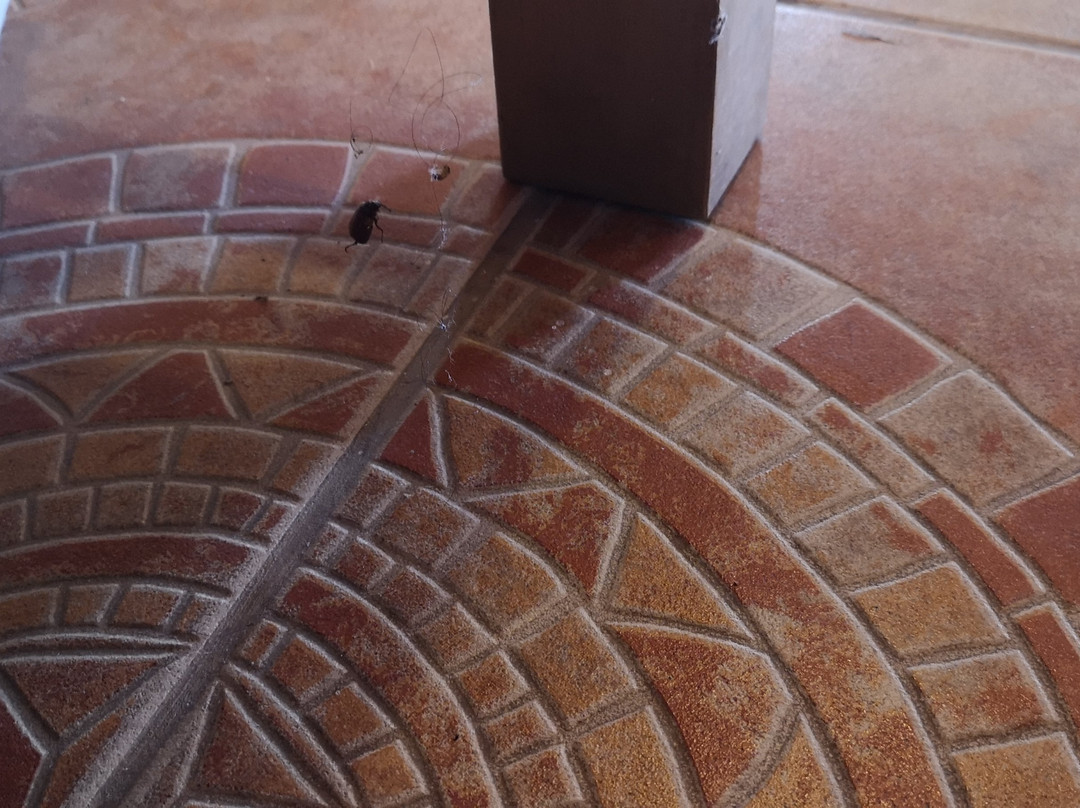 Casa Cumbray Hotel & Restaurante主图