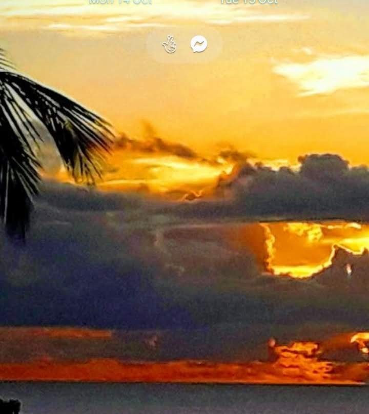 Sugar Cane Club Hotel & Spa主图