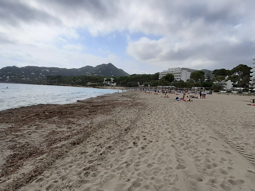 Platja de Canyamel-Canyamel必去景点