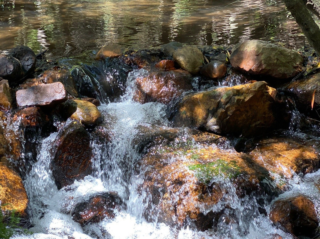 22 Waterfalls景点图片