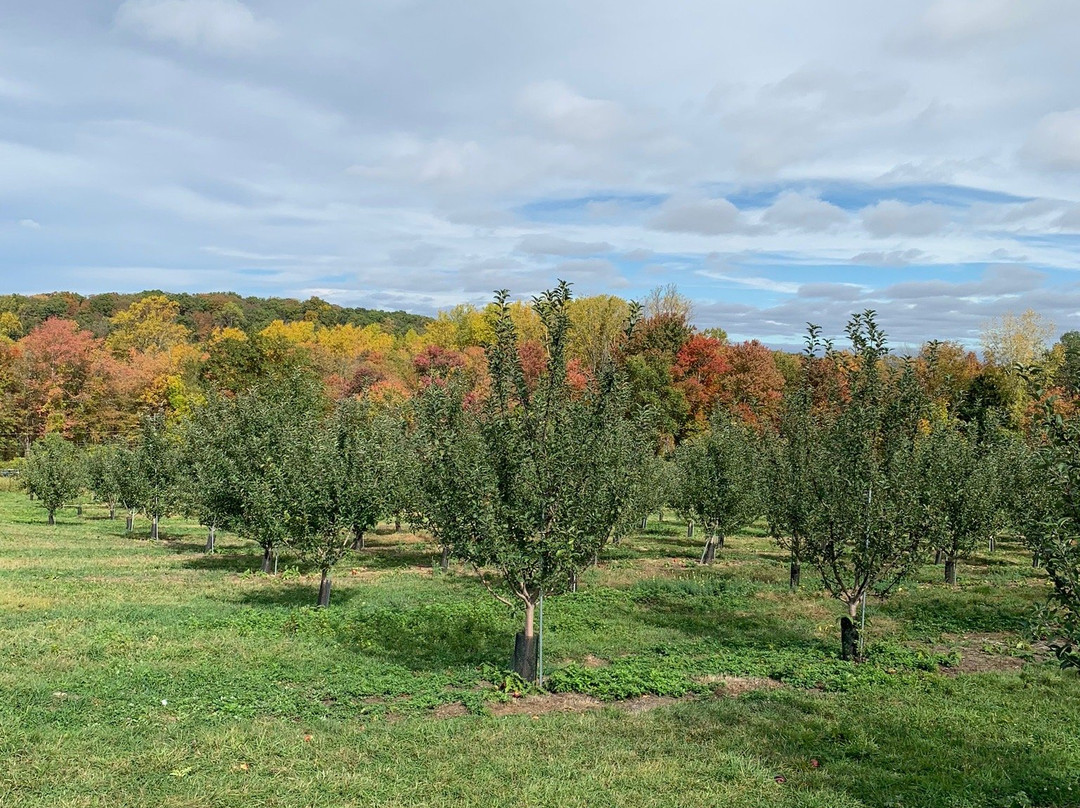 Outhouse Orchards景点图片
