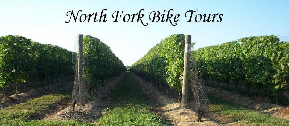 North Fork Bicycle Tours景点图片