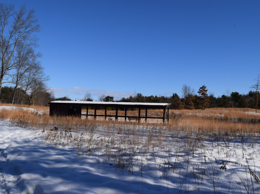 Wilton Wildlife Preserve and Park景点图片