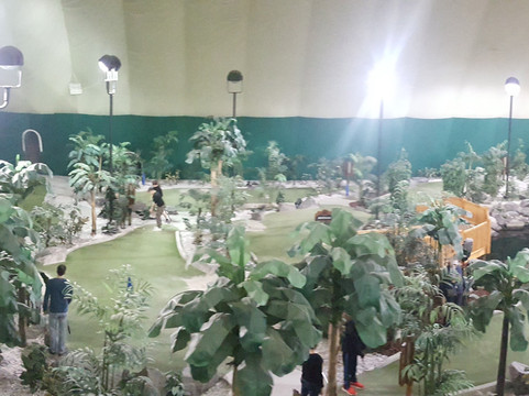 Paddock Chevrolet Golf Dome-Tonawanda必去景点