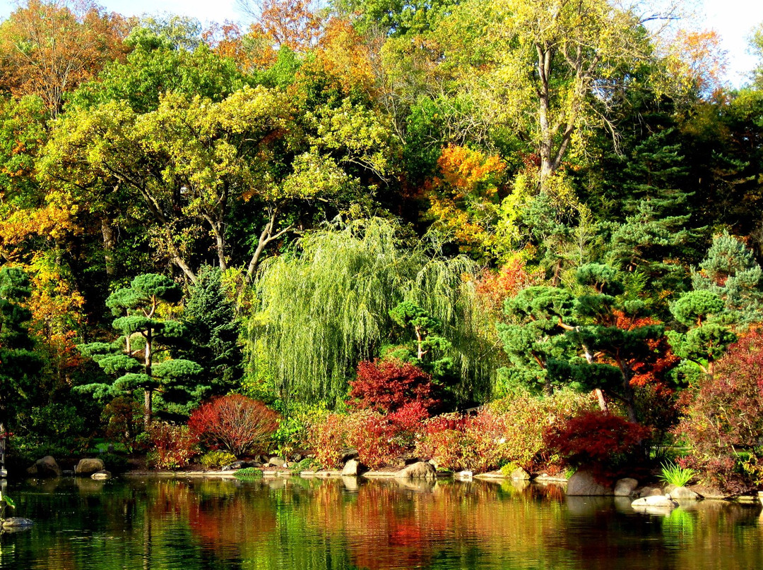 Anderson Japanese Gardens
