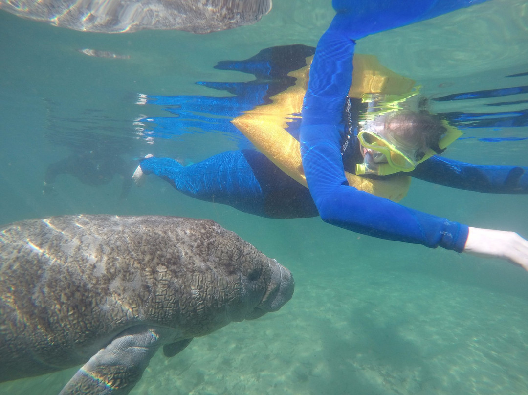 Gulf Coast Expeditions