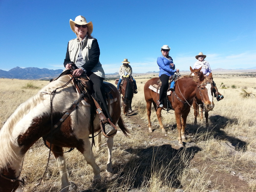 Arizona Horseback Experience景点图片