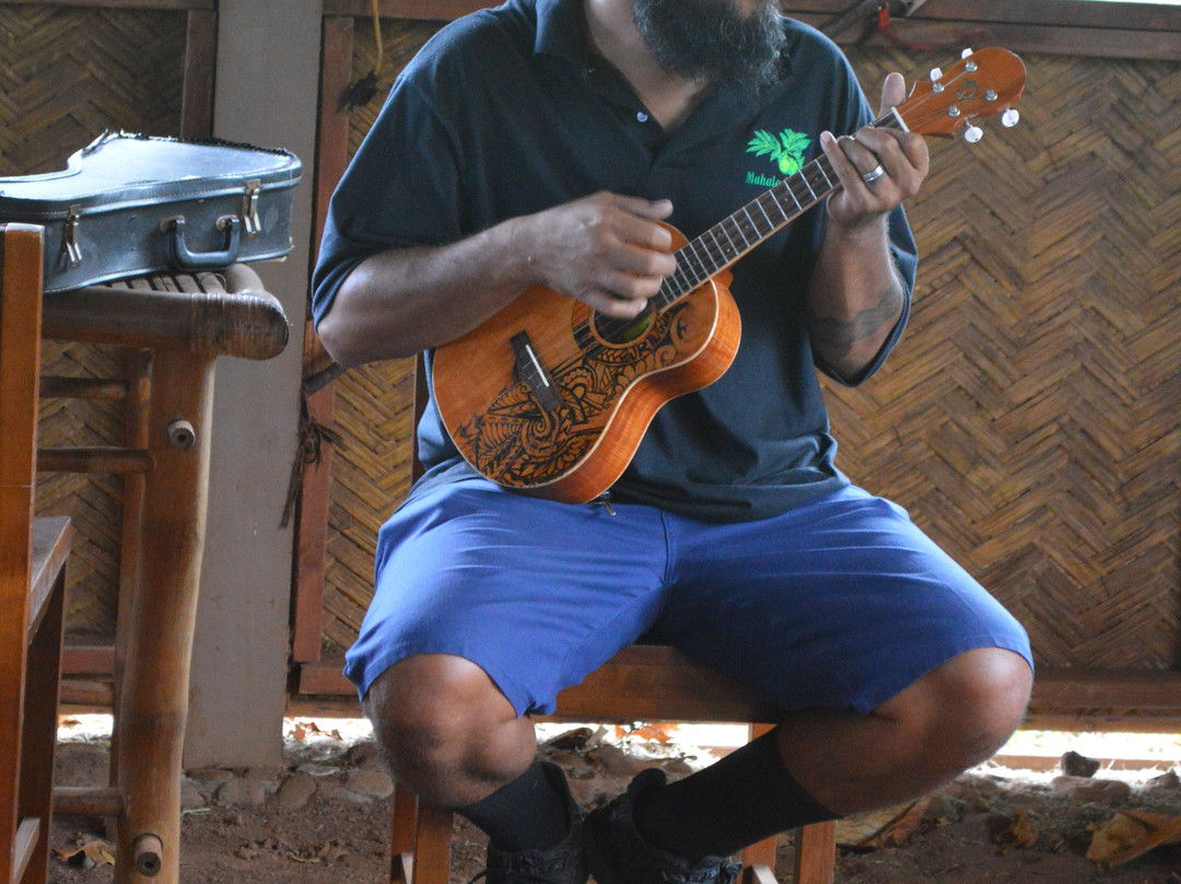 Road to Hana Tours-哈纳必去景点