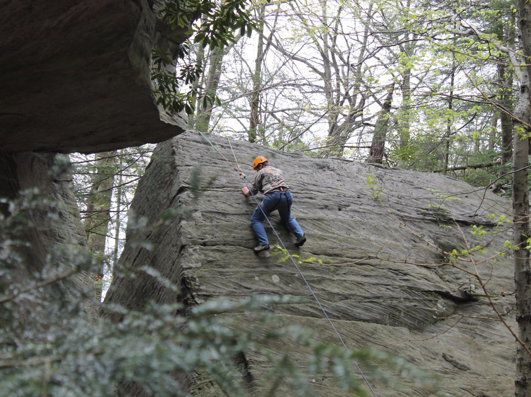 Coopers Rock Climbing Guides景点图片