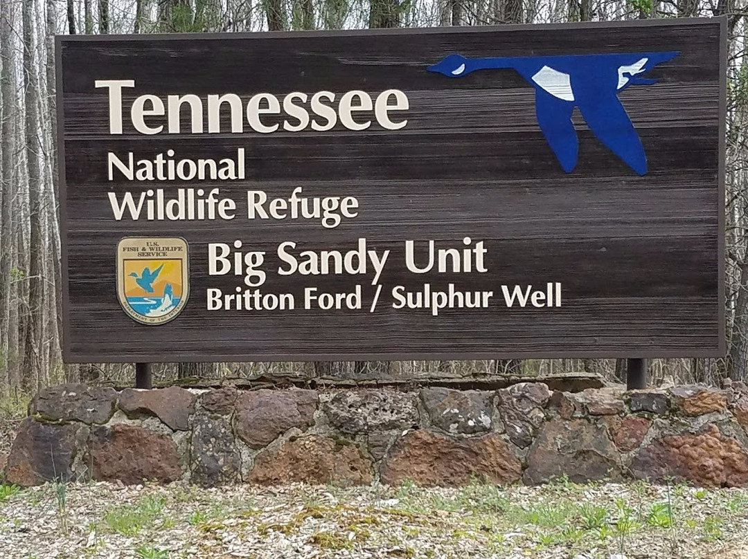 Tennessee National Wildlife Refuge景点图片