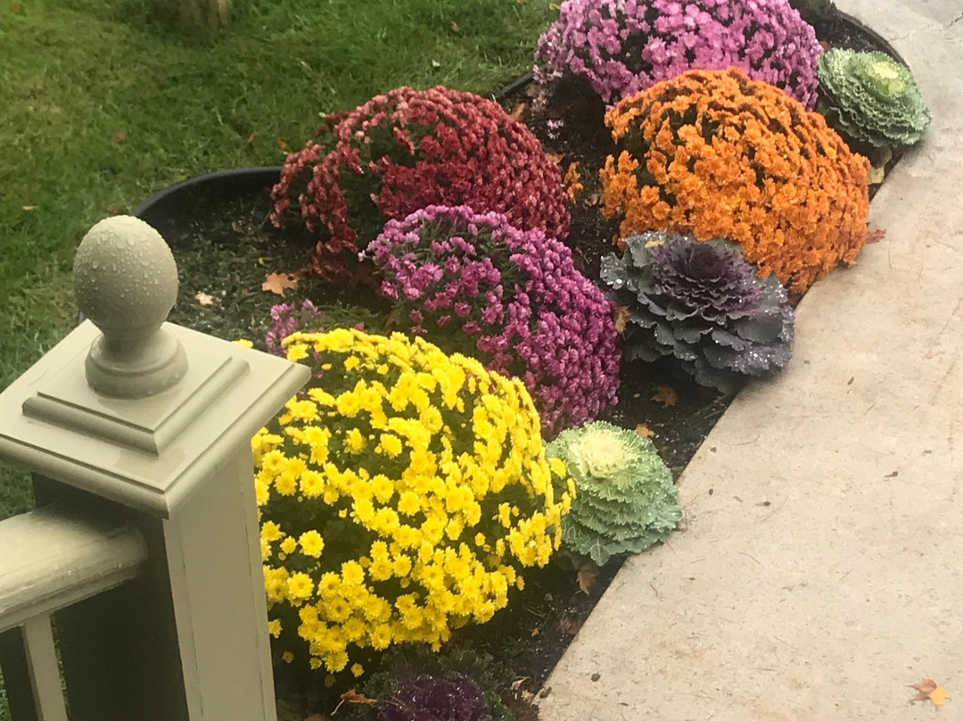 The Bay View Inn主图