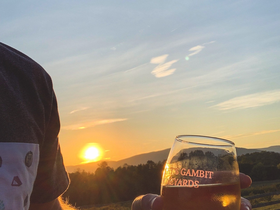 Knight's Gambit Vineyard-夏洛茨维尔必去景点