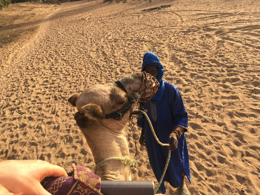 Agadir Horse & Camel-Taghazout必去景点