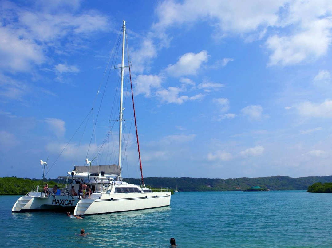 Catamaran Maxicat景点图片