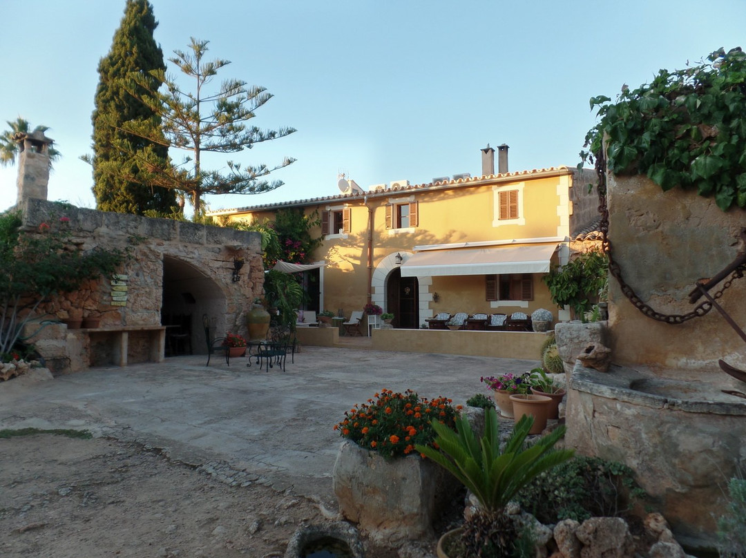 Agroturismo Finca Son Pieras主图