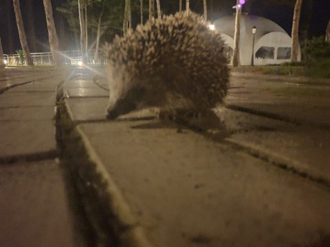 Alma Park Resort-浴室