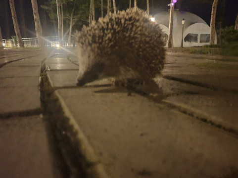 Alma Park Resort主图