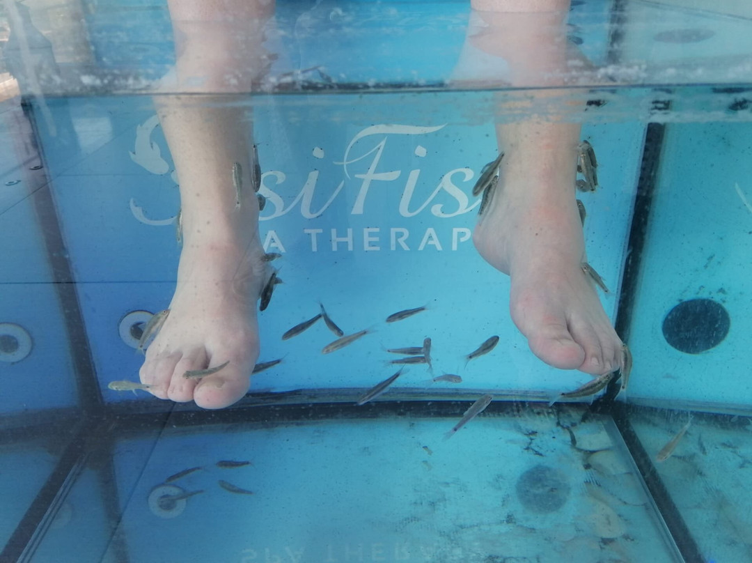 Doctor Fish Spa Therapy Sissi-Sissi必去景点