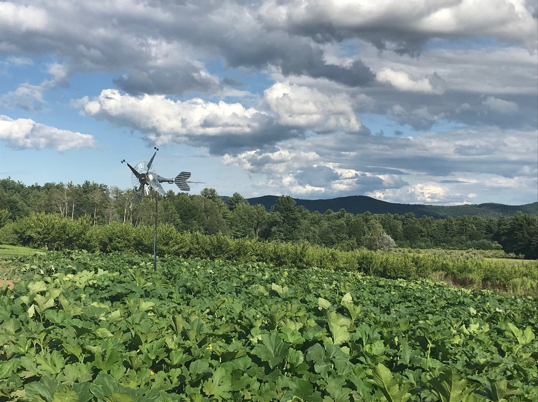 Sunset Farm-艾姆赫斯特必去景点