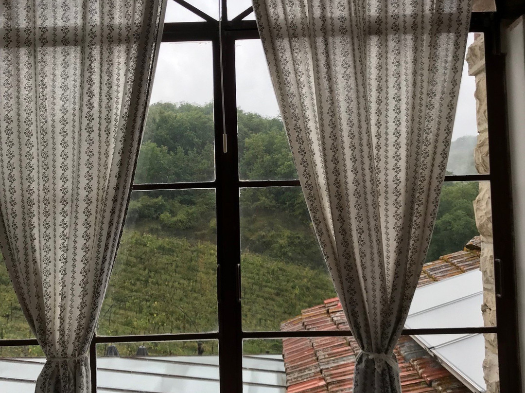 Tenuta Cortedomina主图