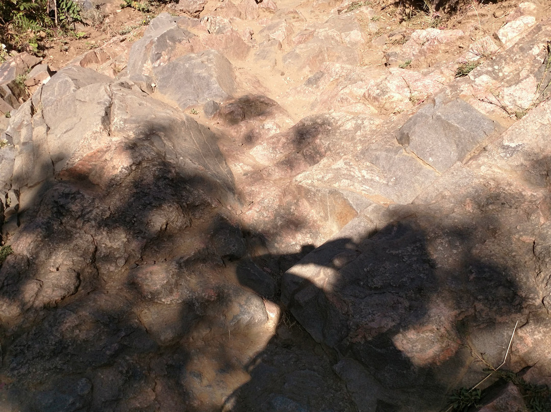 Apex Park-戈尔登必去景点