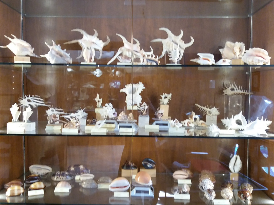 Casa Museo Matteo Sercia景点图片