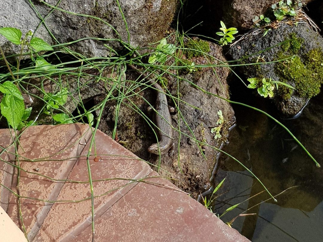 Strawberry Hill Hotel主图