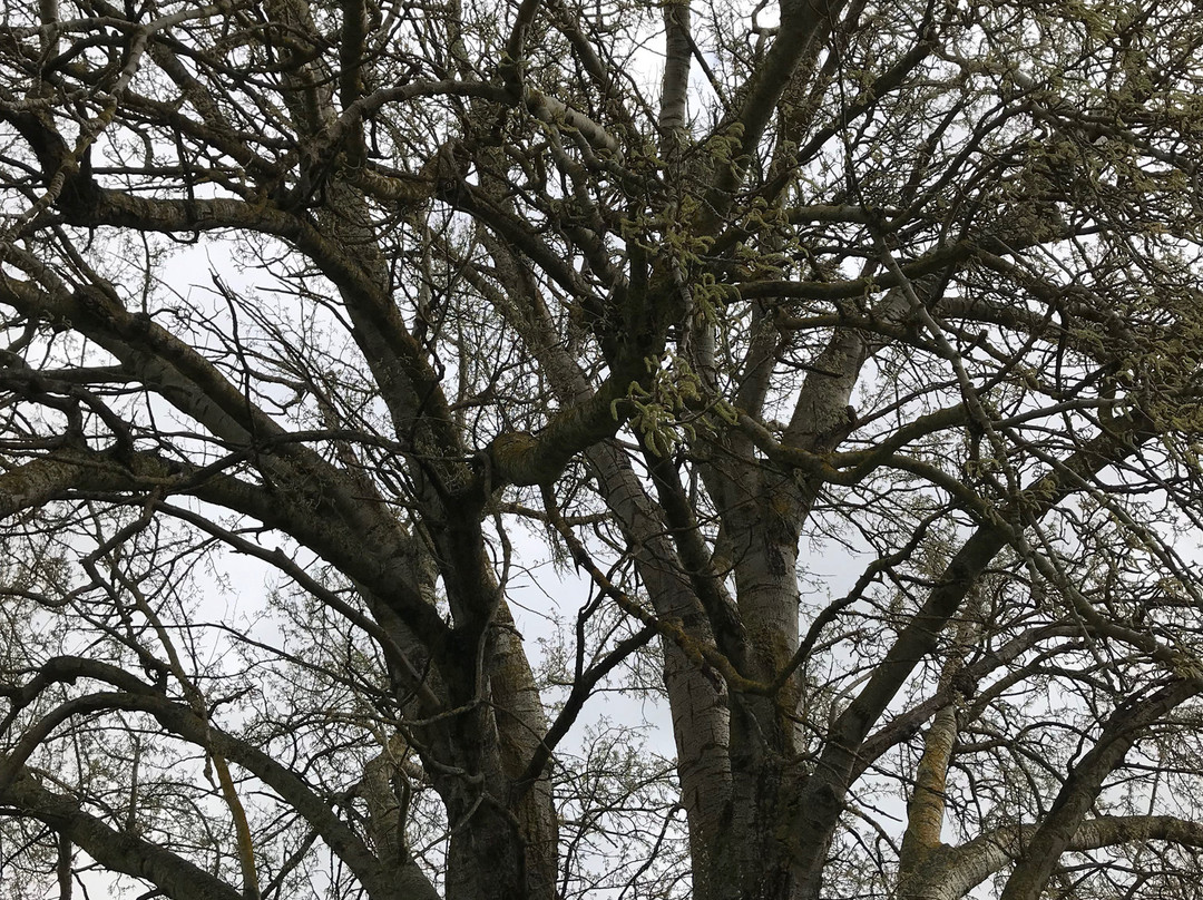 James Balfour Park-Trafalgar必去景点