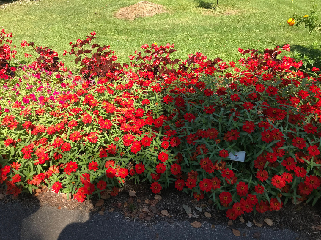 Cutler Botanic Garden-宾厄姆顿必去景点