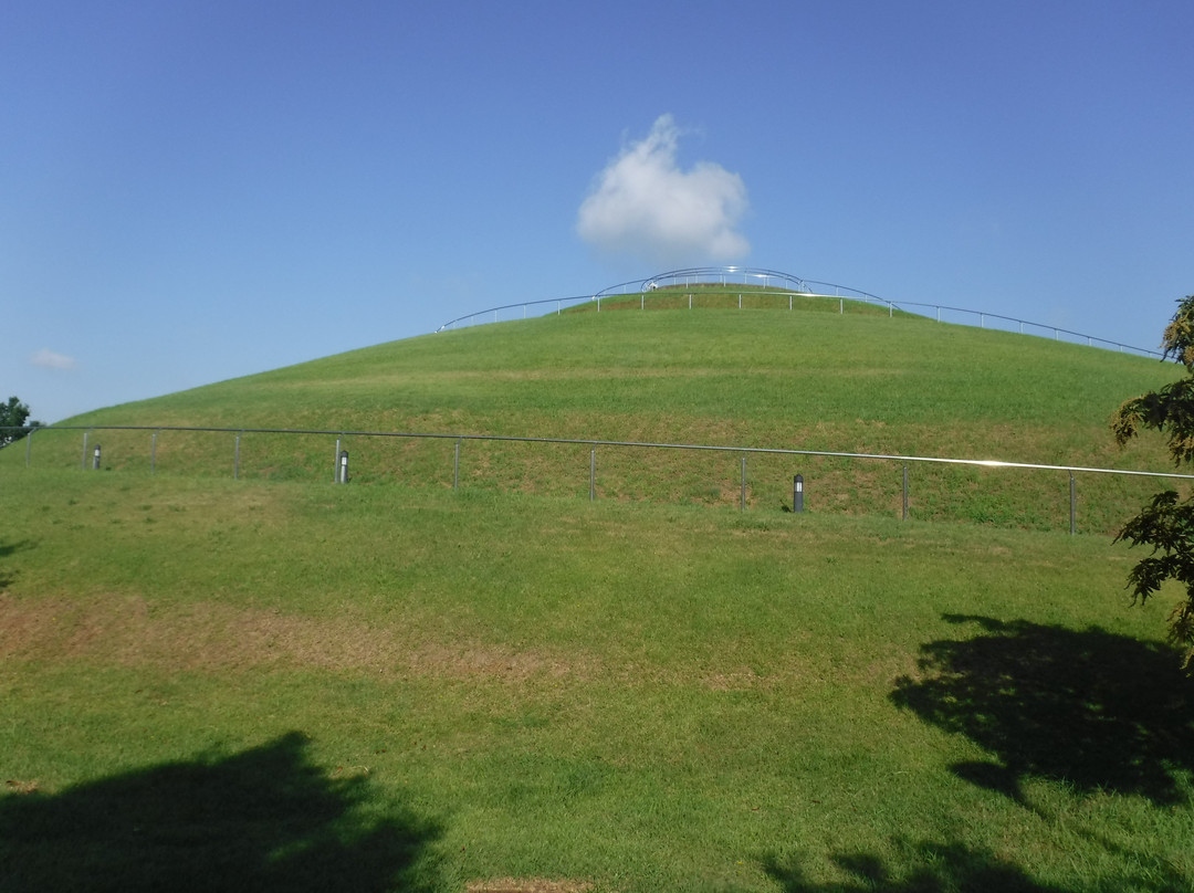 Makinohara Park-印西市必去景点