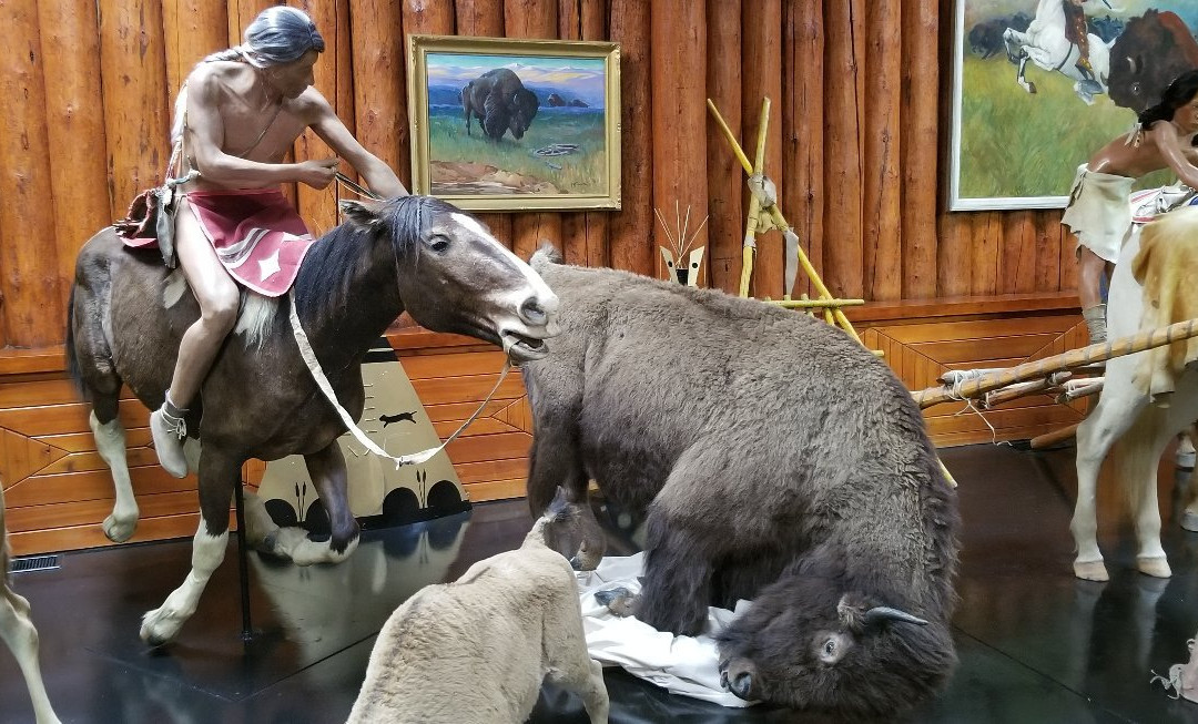 Buffalo Nations Museum-班夫必去景点