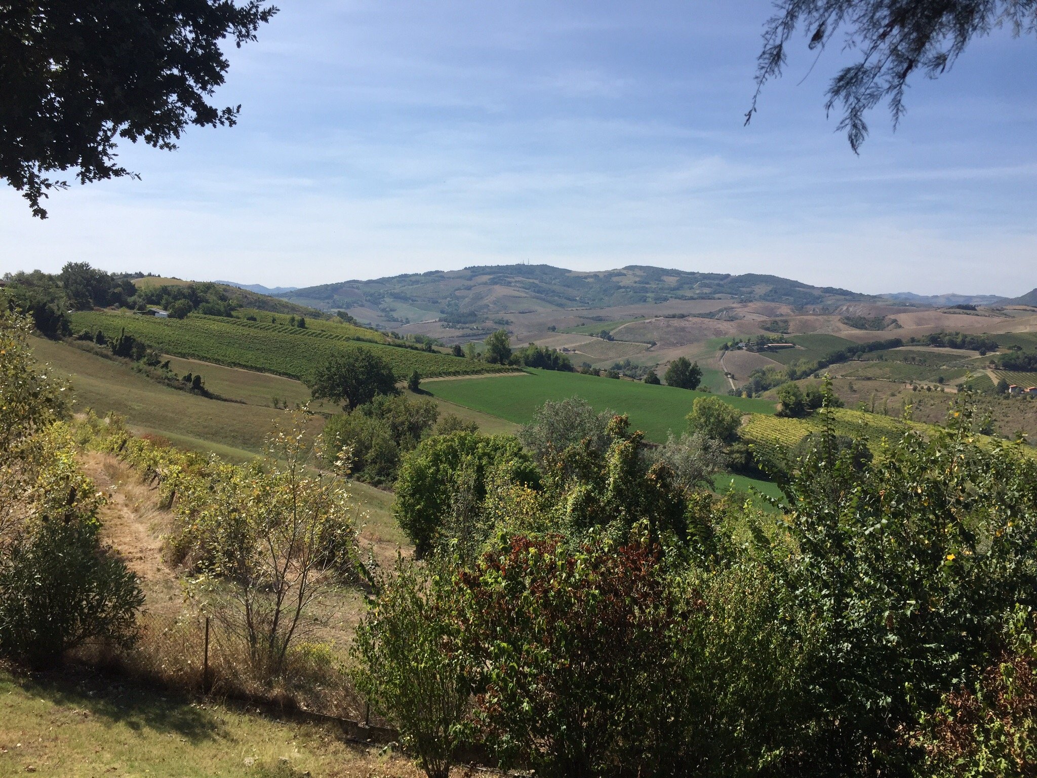 Locanda della Fortuna-官方