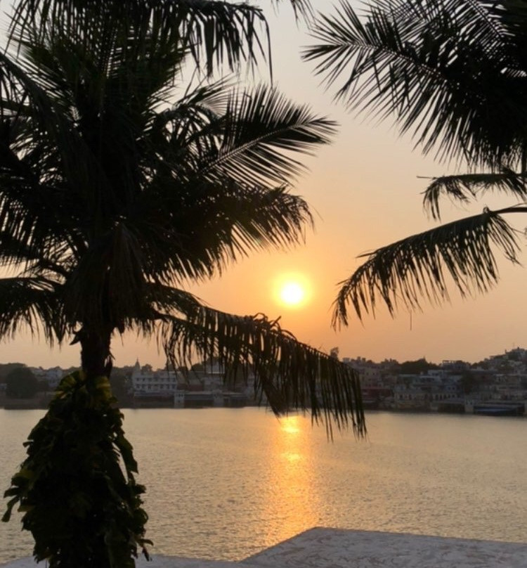 Hotel Pushkar Palace主图