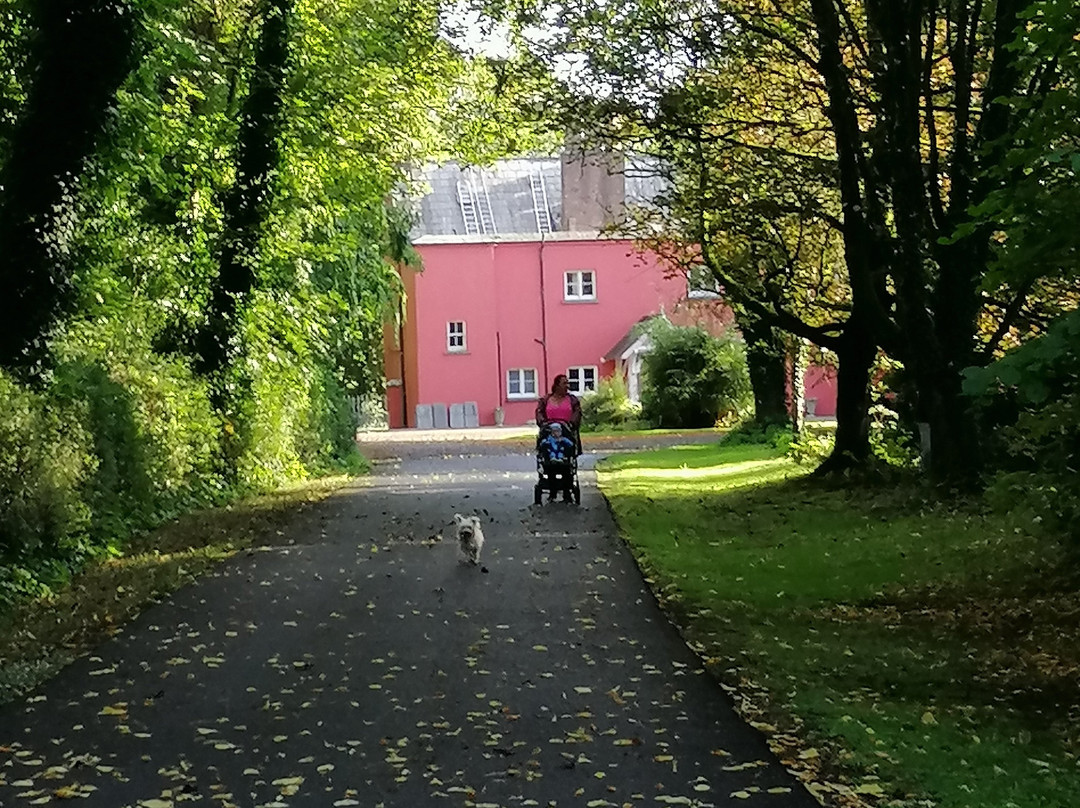 Cratloe Woods House-Cratloe必去景点