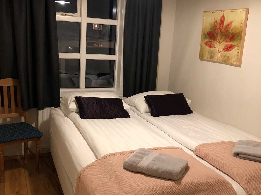 Puffin Hotel Vík主图