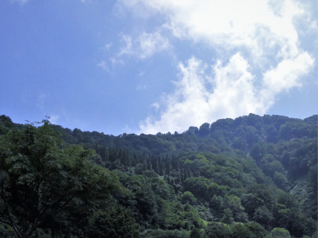 Yuzawa Highland Alpine Garden景点图片