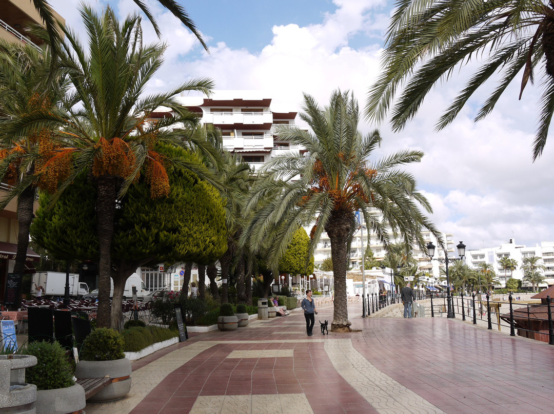 Marina Santa Eulalia景点图片