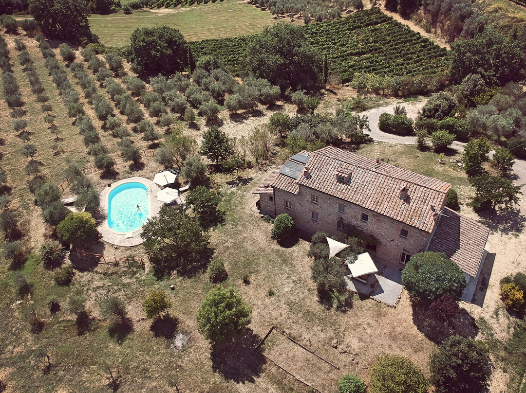 La Falconara