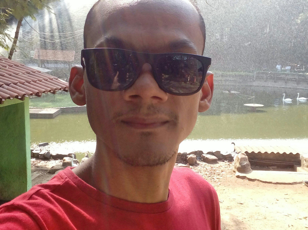 Bosque dos Jequitibás-坎皮纳斯必去景点