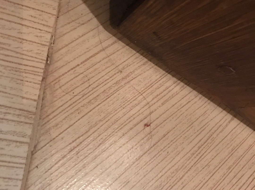 Mihran Hanim Konagi主图