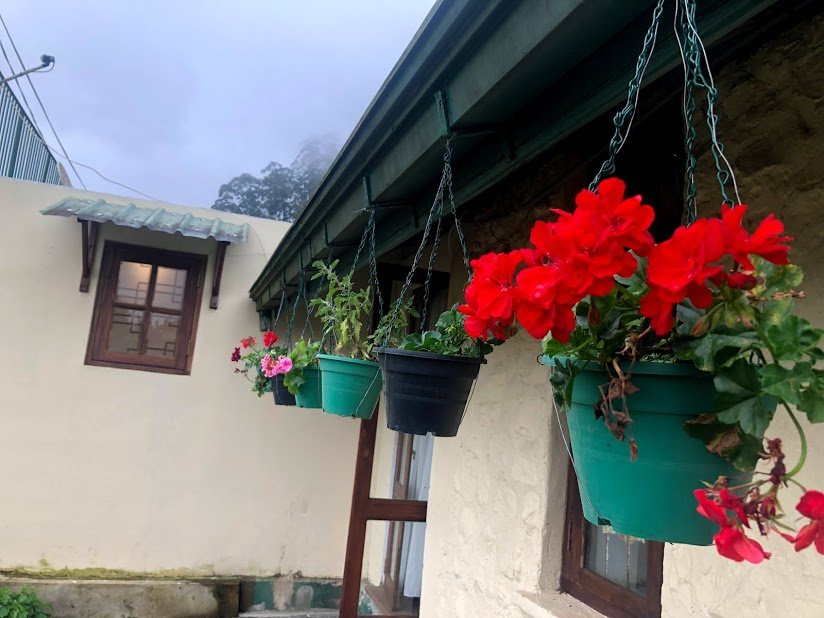 布什茶酒店主图