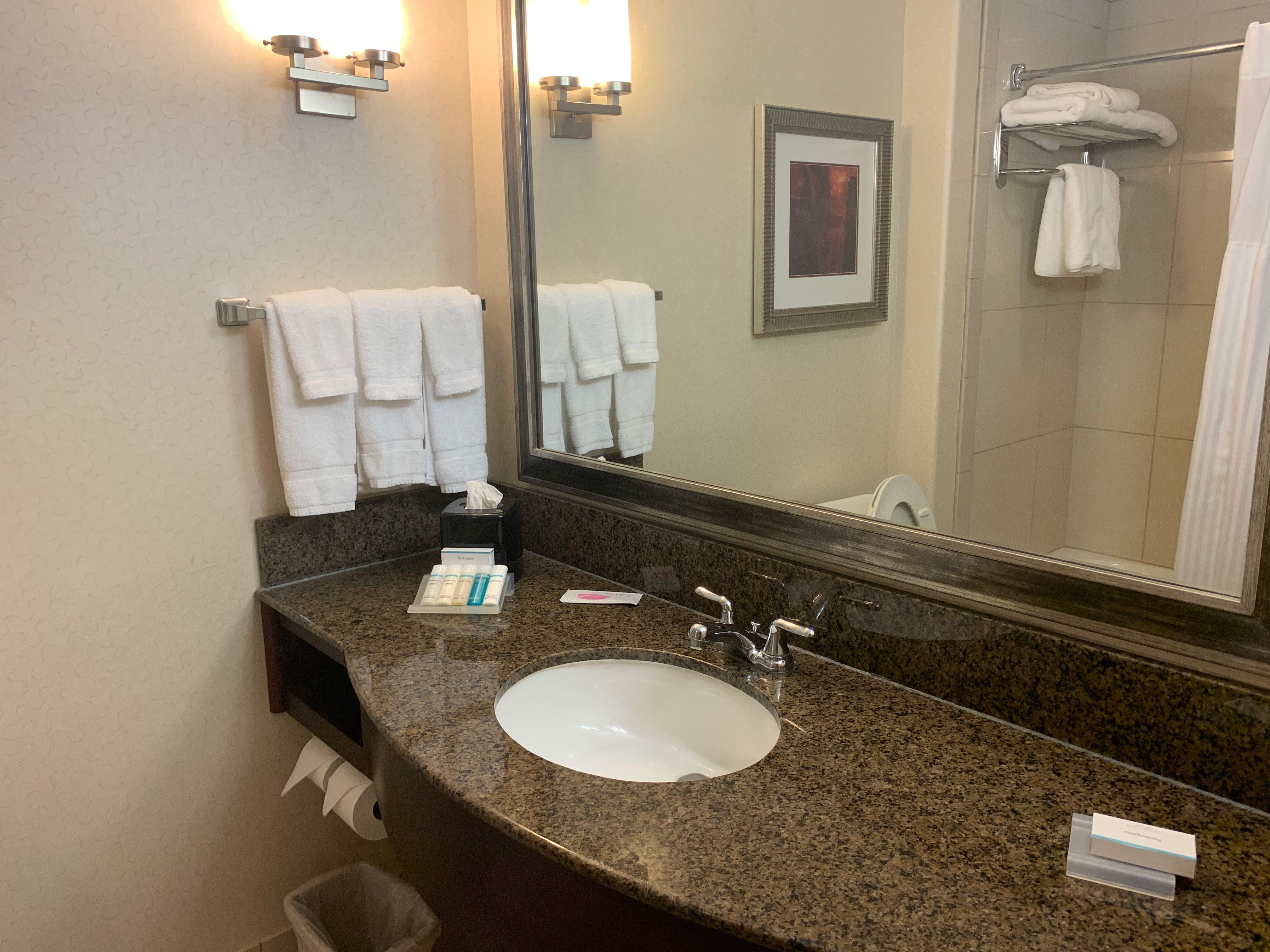 纽布劳恩费尔斯希尔顿花园酒店-浴室