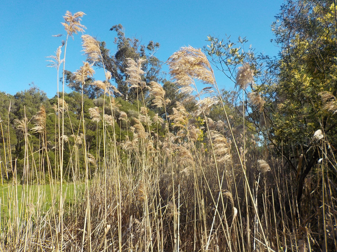 Beaconsfield Park-Beaconsfield必去景点