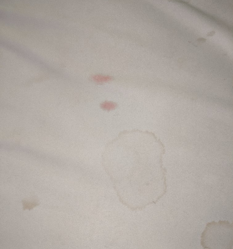 Extended Stay America - Chicago - Buffalo Grove - Deerfield主图