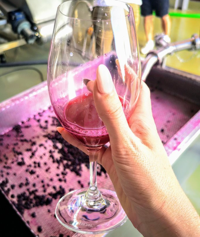 Tannin Trail-马贝拉必去景点