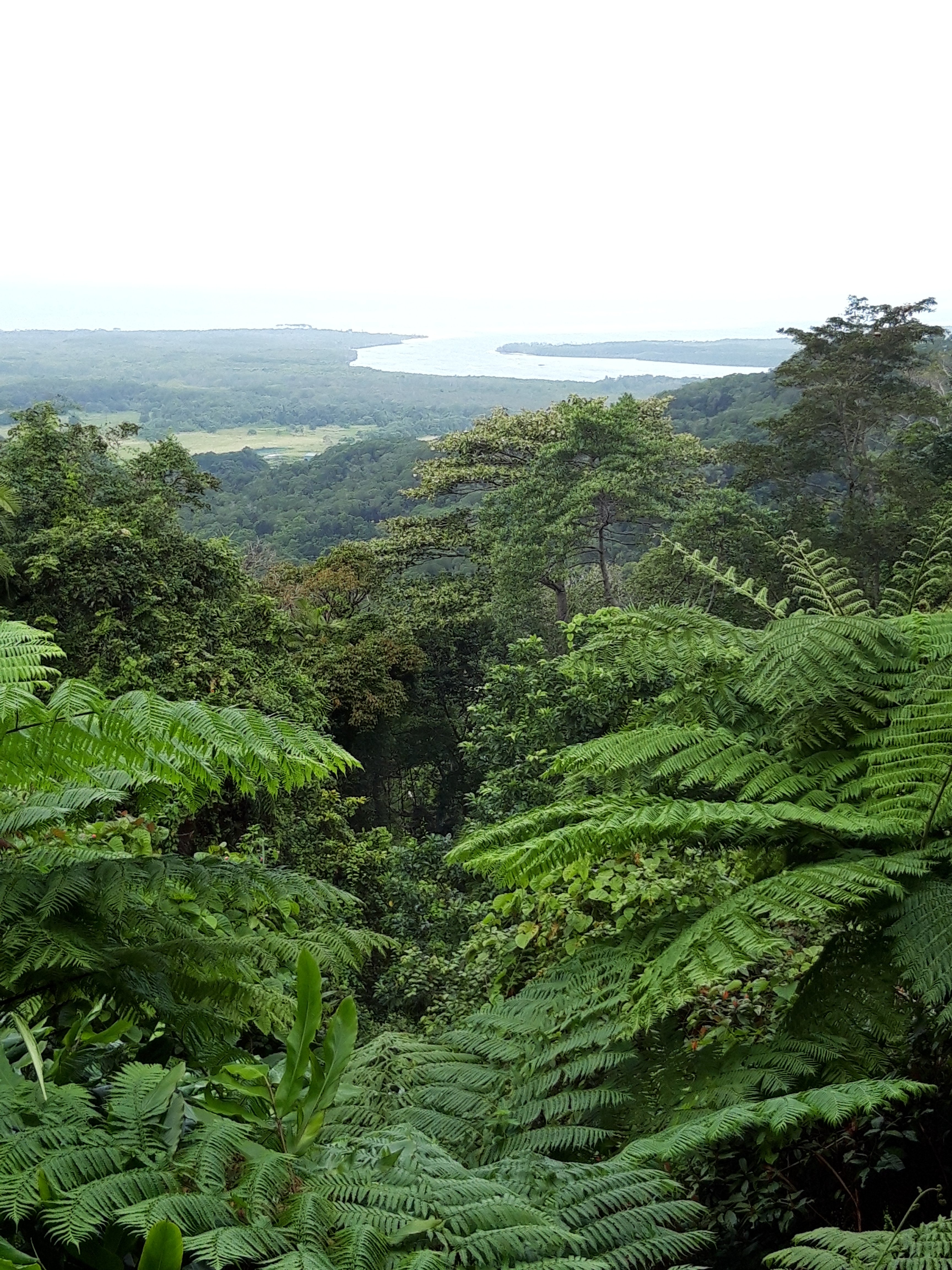 Demi View Motel-官方