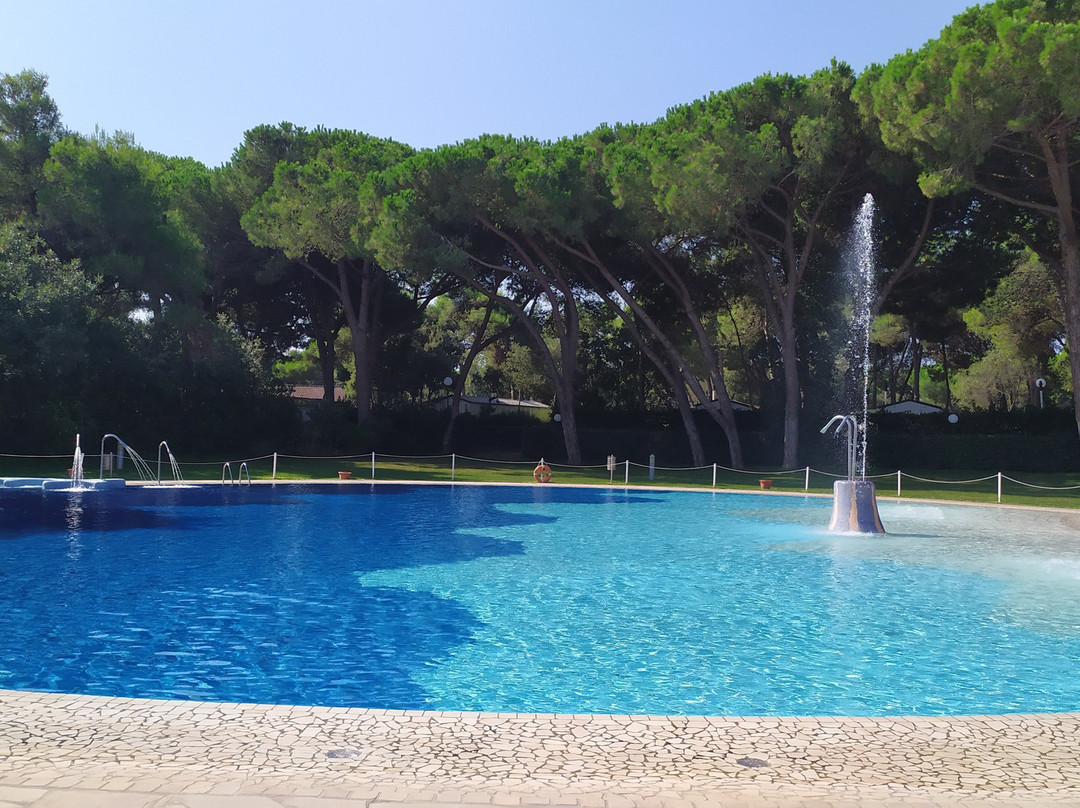 Baia Domizia Camping Village主图