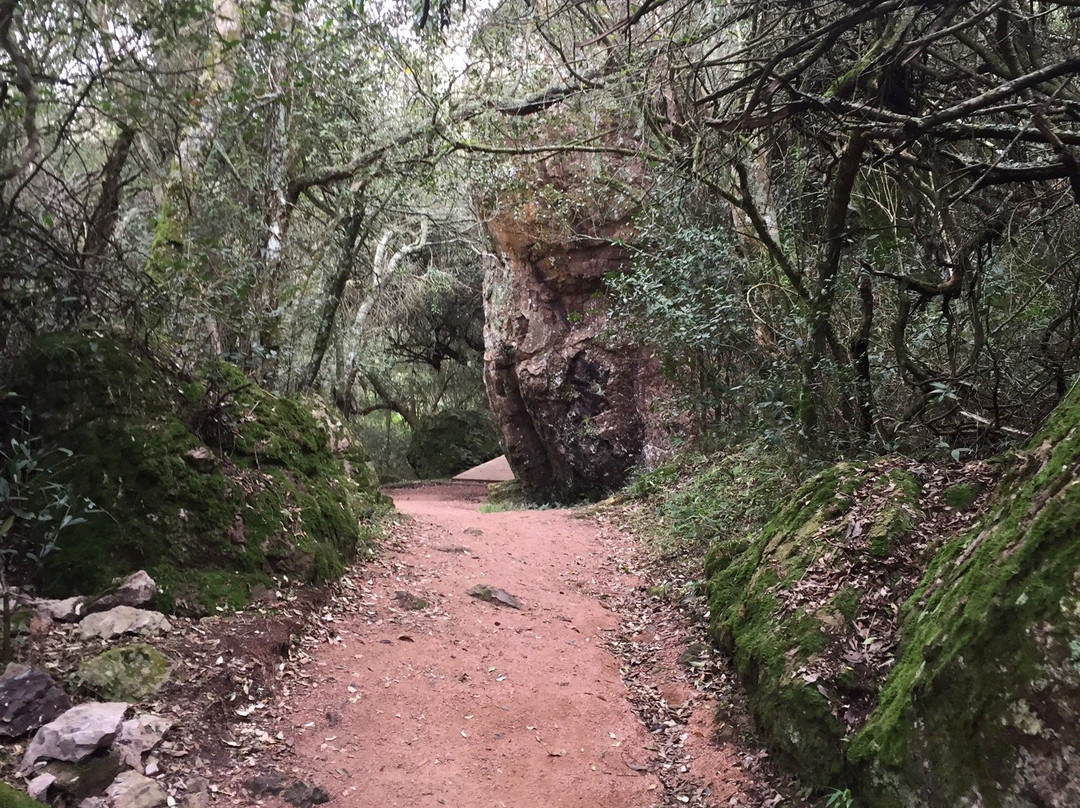 Grutas de Salamanca-Aigua必去景点