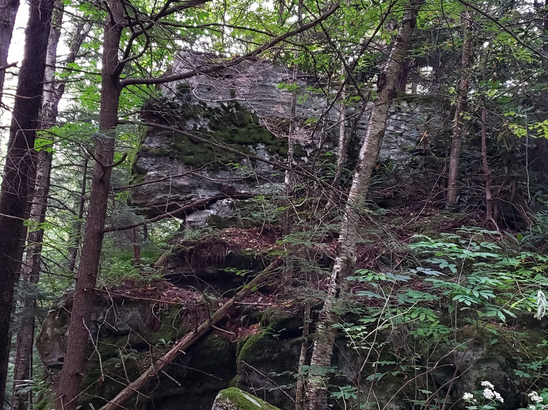 Monongahela National Forest-Elkins必去景点
